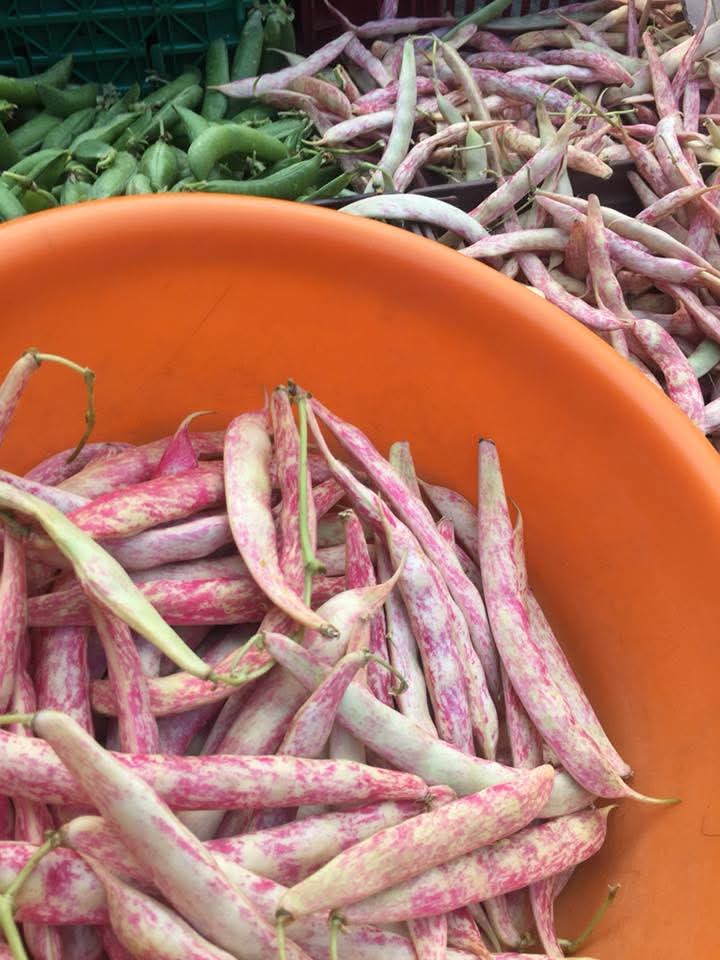 Le haricot jaune participe aux cultures de jardin et aux repas familiaux.